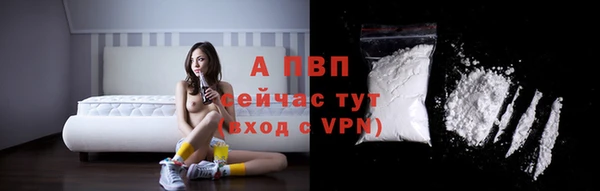 амф Алексин