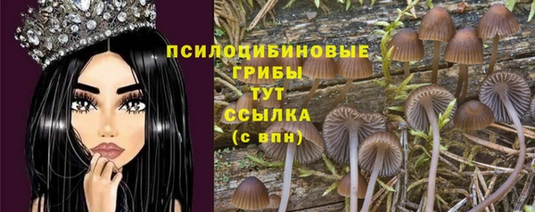 спайс Алзамай