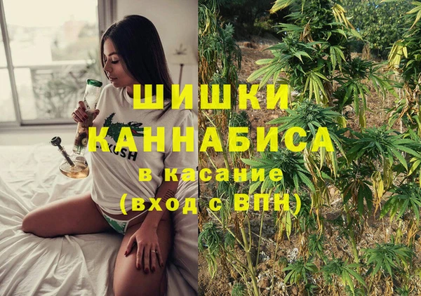 амф Алексин